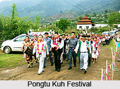 Pongtu Kuh Festival, Tribal Festival, Arunachal Pradesh