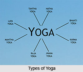 Mantra Yoga, Types of Yoga
