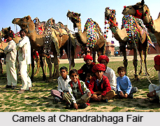Chandrabhaga Fair, Rajasthan