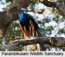Wildlife Sanctuaries of Kerala