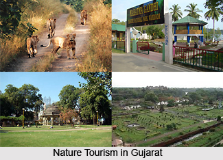 Tourism In Gujarat