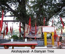 Akshayavat in Allahabad
