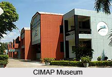 CIMAP Museum, Lucknow, Uttar Pradesh