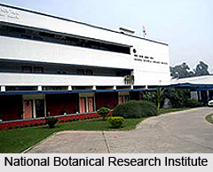 Museum of National Botanical Research Institute,  Lucknow