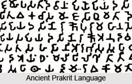 Prakrit Language, Indo Aryan Language