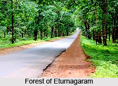 Eturnagaram, Warangal District, Telangana