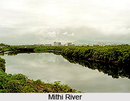 Mithi River, Mumbai