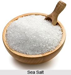 Salt, Seasoning Agent, Indian Food