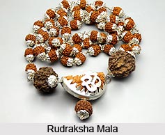 Rudraksha for Health and Self Empowerment