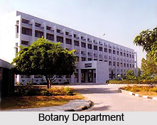 Botany Department, Chandigarh
