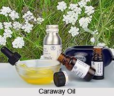 Caraway Oil