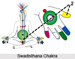 Illuminating Swadisthana Chakra