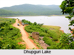 Dhupguri, Jalpaiguri, West Bengal