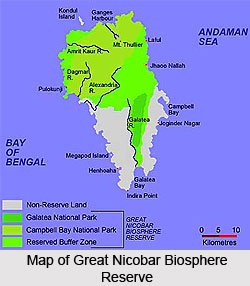 Great Nicobar Biosphere Reserve, Nicobar