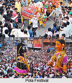 Pola Festival, Maharashtra