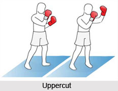 Uppercut, Kickboxing Technique