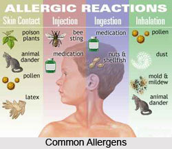 Allergen, Causes of Allergies