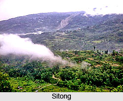 Tourist Places in Kurseong , West Bengal