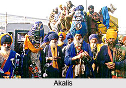 Akali, Zealots of the Sikh