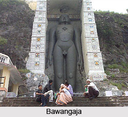 Bawangaja, Barwani District, Madhya Pradesh