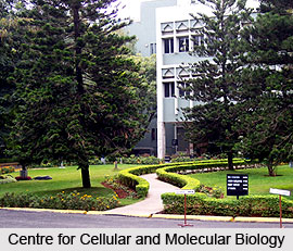 Centre for Cellular and Molecular Biology, Hyderabad, Telangana