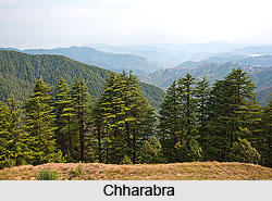 Chharabra, Shimla, Himachal Prades