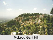 Mcleod Ganj, Himachal Pradesh