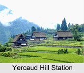 Yercaud Hill station, Tamil Nadu, South India