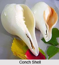 Conch Shell Sthaapana