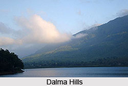 Dalma Hills, Jamshedpur