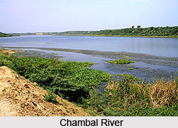 Tributaries of River Yamuna, Indian River