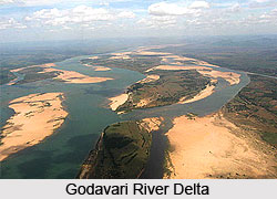 Ecological Significance of River Godavari, Indian River