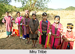 Mru Tribe, West Bengal