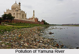 Pollution and Protection of Yamuna River