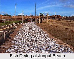 Junput Beach, West Bengal