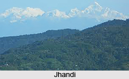 Jhandi, Dooars, West Bengal