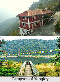 Yangtey, Gangtok