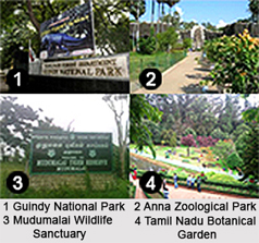 Tourism In Tamil Nadu