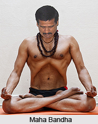 Mudras in Hatha Yoga