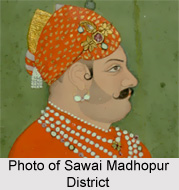 Sawai Madhopur District