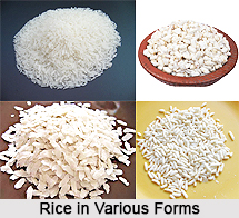 Rice in Bengali Cuisine