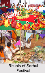 Sarhul Festival, Jharkhand