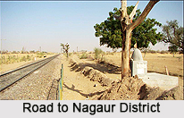 Geography of Nagaur District