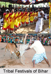 Bihar Temple Festivals, Indian Temple Festivals