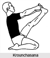 Hatha Yoga Asanas