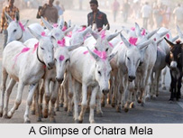 Chatra Mela, Chatra District, Jharkhand