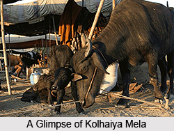 Kolhaiya Mela, Jharkhand