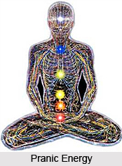 Pranic Energy, Concept of Hatha Yoga