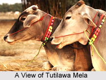 Tutilawa Mela, Chatra District, Jharkhand