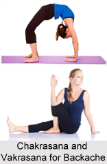 Yoga for Backache
